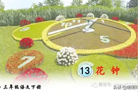 部编版三年级下册语文《13.花钟》学习课件图片