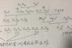 从遗传学解释为什么孩子应该跟父亲姓图片