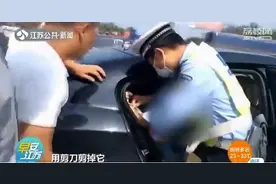 别给孩子系成人安全带！6岁男孩被安全带勒脖越缠越紧图片