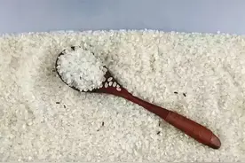 警惕！你吃的大米里可能有虫！现在正是高发季......图片