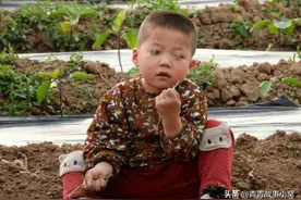 故事：狐仙总帮助女子，女子感谢狐仙，狐仙：俺得感谢前世的你图片