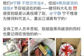 乘风破浪宁静姐早年代言的猪饲料广告图片