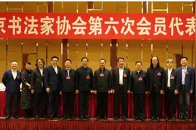 北京书法家协会第六届主席团成员（13名）、理事（95名）名单图片