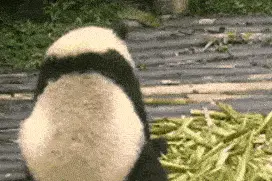 “穿着警服好威风呀！”梅州一男子假冒警察摊上事儿图片