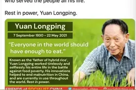 袁隆平院士仙去了，有人却在质疑他的水稻图片