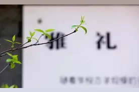 一边倒支持总分制！如果取消等级制，对报考四大名校有哪些影响？图片