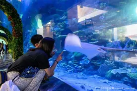 千叶海洋馆水处理设备，为海洋馆提供健康清澈水质图片