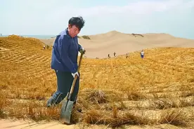和沙漠斗了一生的王有德：可以不吃饭，但不能不治沙图片