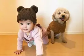 李玫瑾教授：高智商的孩子，三岁前就会初露苗头，别浪费好苗子图片