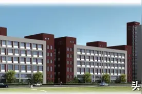 金乡围绕高质量建设工业强镇的目标，助力金乡，再一次崛起图片