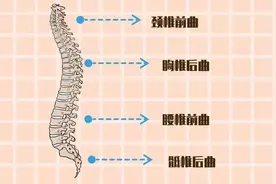 羽绒枕、记忆枕、荞麦枕、乳胶枕......都是啥？怎么选？图片