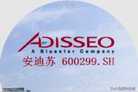 闷头发财的隐形冠军——安迪苏图片