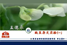 「112」高考生物一轮复习——孟德尔的杂交豌豆实验图片