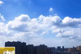“安阳蓝”渐成为新常态图片
