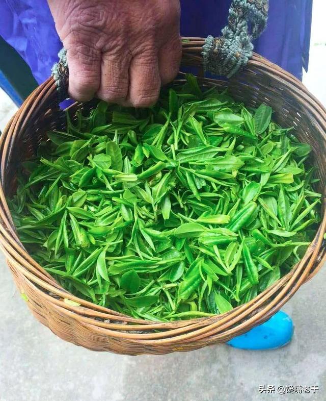 干鳘鱼鳔的油炸吃法 2026年干鱼鳔油炸方法窍门