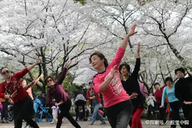 58岁单身阿姨被求婚，她提出3个条件，男舞伴转身离开图片