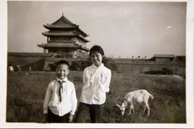 西安城墙“放羊娃”找到啦！图片