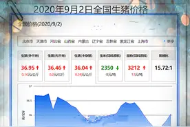 生猪养殖补贴多，猪肉价格反而大涨，我国生猪养殖政策可能需调整图片
