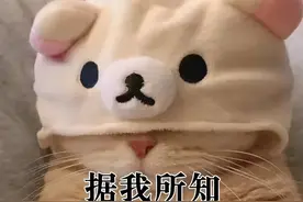 可恶，又被你装到了图片