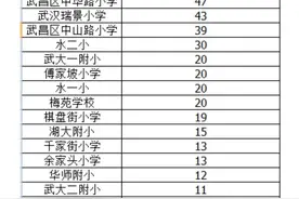 2020年武汉武珞路实验中学生源构成图片