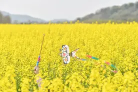 《南岸起风景》摄影专访 | 酸甜苦辣的生活，是镜头下的温柔与浪漫图片