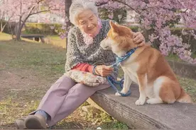 樱花树下85岁奶奶和柴犬照片，温暖众多网友：岁月静好，时光不老图片