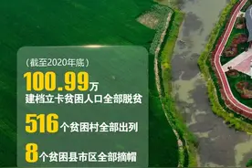 阜阳村和社区干部报酬标准将调整！怎么调？为何调？图片