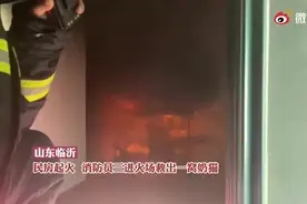 （视频）@太原人！每一条生命都不能放弃，消防员三进火场救出了一窝小奶猫图片