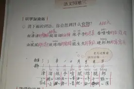 《语文园地三》教材分析和课堂笔记图片