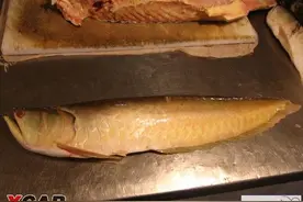 亚马逊河钓鱼图片
