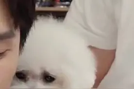 李佳琦狗狗还是要科学喂养的好图片