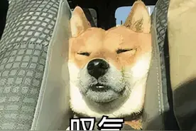 假期过去了，你的脸油成猪刚鬣了？图片
