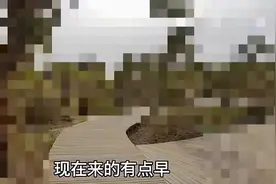 穷游伪人之～旷世奇才，头顶太阳，内容湖人，堵门雄鹿，强行活塞图片