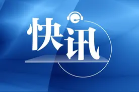 非法集资149亿元，诈骗、敲诈勒索超8亿，“黑老大”张伟被判无期徒刑图片