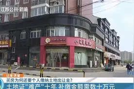 买房竟还要缴巨额土地出让金 超过当年购房款 业主炸毛图片