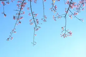 事实上，男人对女人的吸引力，与钱无关图片