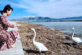 撒贝宁，尼格买提打卡新疆赛里木湖，深秋水天一色，冬有蓝冰之眸图片