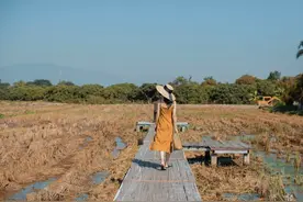 人生的下半场，要学会看淡图片