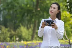 乡游唐县 跟随航拍大家自驾看风景 赏千年“怪树林”图片