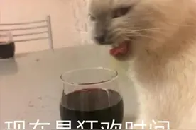 网友收到双十一快递之后的表现，哈哈哈是谁在偷窥我图片