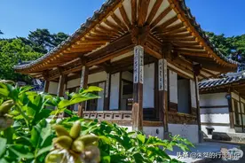 韩国最“贵”的名人故居 有两个历史名人居住在此 你知道贵在哪吗图片