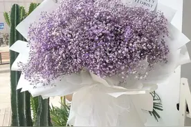 七夕特辑 | 如果满天星有颜色，那一定是彩虹的颜色图片