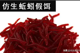 “仿生蚯蚓”，南北通杀，专钓大鲫鱼？鱼说：”我有这么傻“？图片