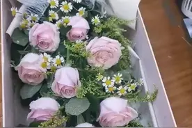 11朵玫瑰花束礼盒款图片