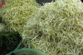 万万吃不得！这些黄豆芽、绿豆芽检出禁用增长剂，大家担心不已图片