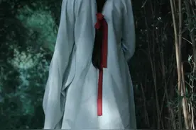 青衫老贼，不服再战图片