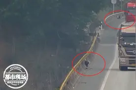 两头小羊误入高速，4男子车流中顺手牵羊，正偷着乐时民警找来了图片