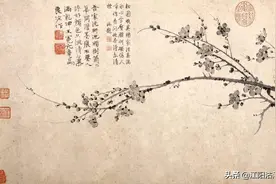 你见过黑色的梅花吗？七十多年前，泸州忠山“邓园”曾经开放图片