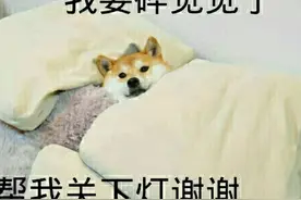 打扑克嘛？Python教你“经典纸牌游戏21点”玩法图片