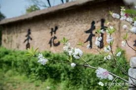 美文欣赏----千古杏花村图片